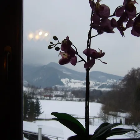 Lodge Rekreacna Pod Jedlovinou, *